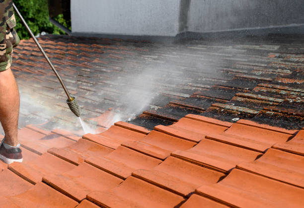 Best House Pressure Washing  in Hanamaulu, HI