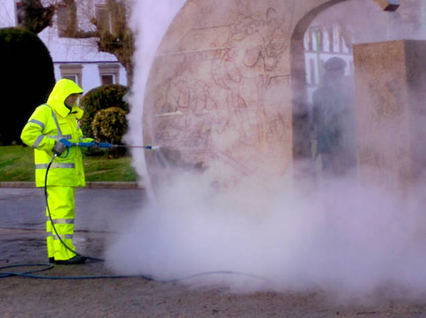 Best Pressure Washing Company Near Me  in Hanamaulu, HI