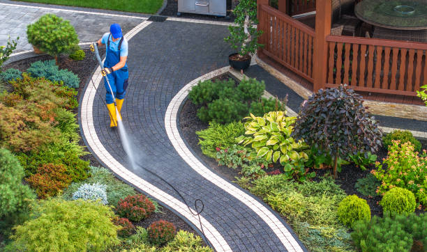 Best Pressure Washing Contractors  in Hanamaulu, HI